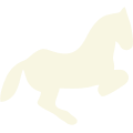 https://www.nasrpolo.com/wp-content/uploads/2024/11/Advanced-Riding.png