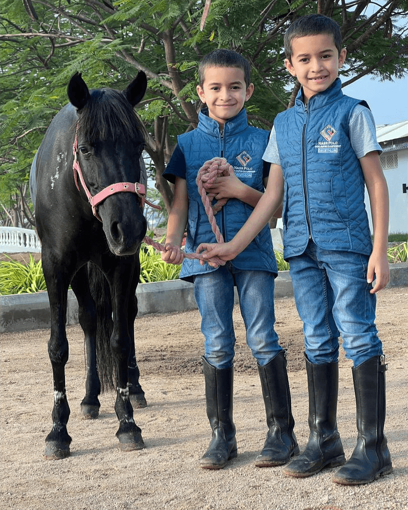 Learn Horse Riding