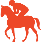 Professional Equestrian Training