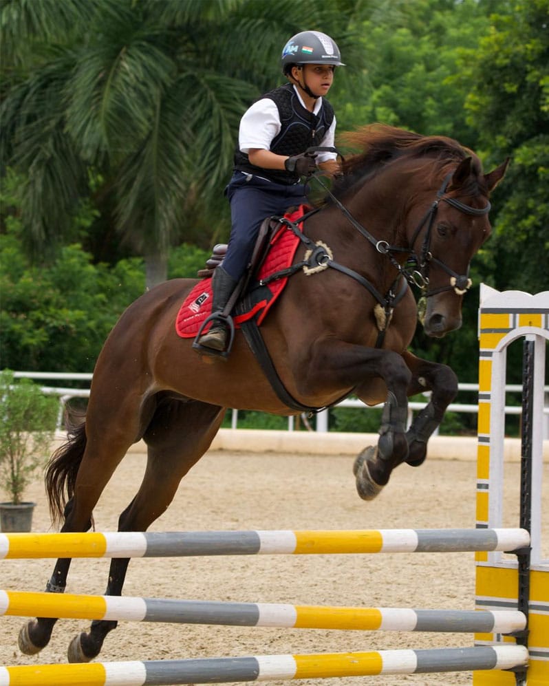 https://www.nasrpolo.com/wp-content/uploads/2024/11/nasr-polo.jpg