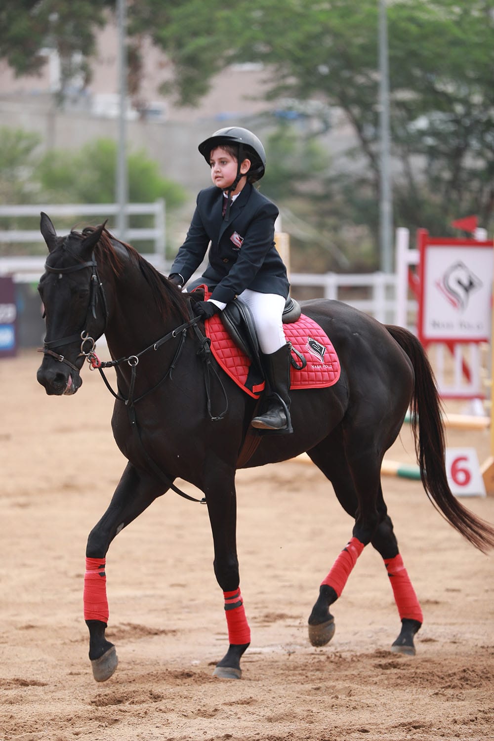 Mastering the Art of Horse Riding