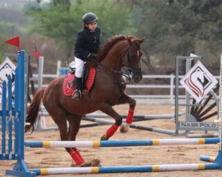 https://www.nasrpolo.com/wp-content/uploads/2024/12/event-3-320x256.jpg